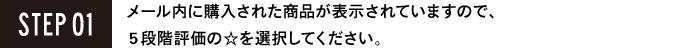 レビュー-ハウツー-ステップ01.jpg