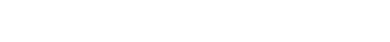 Leather Like Item