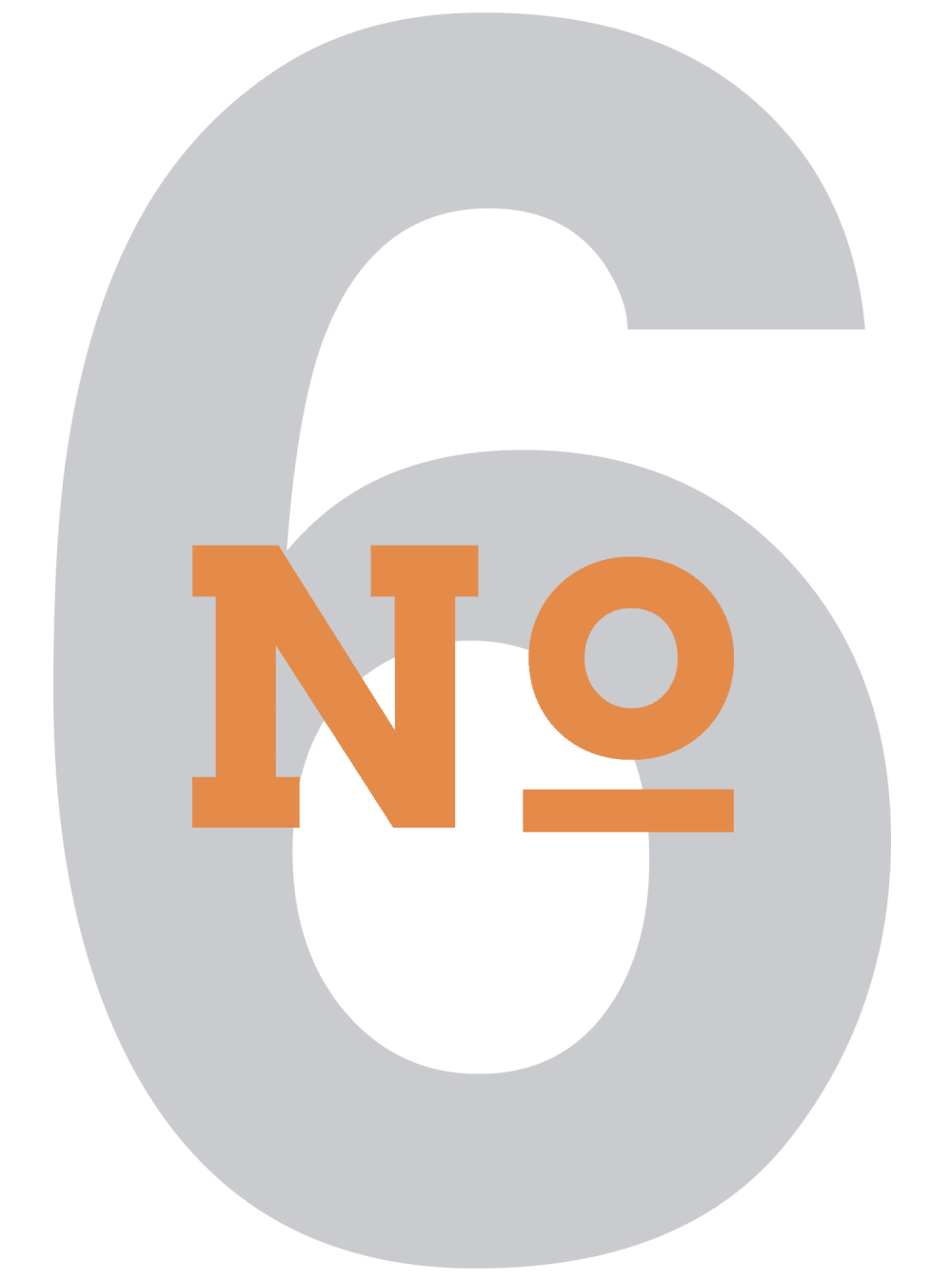 no.06