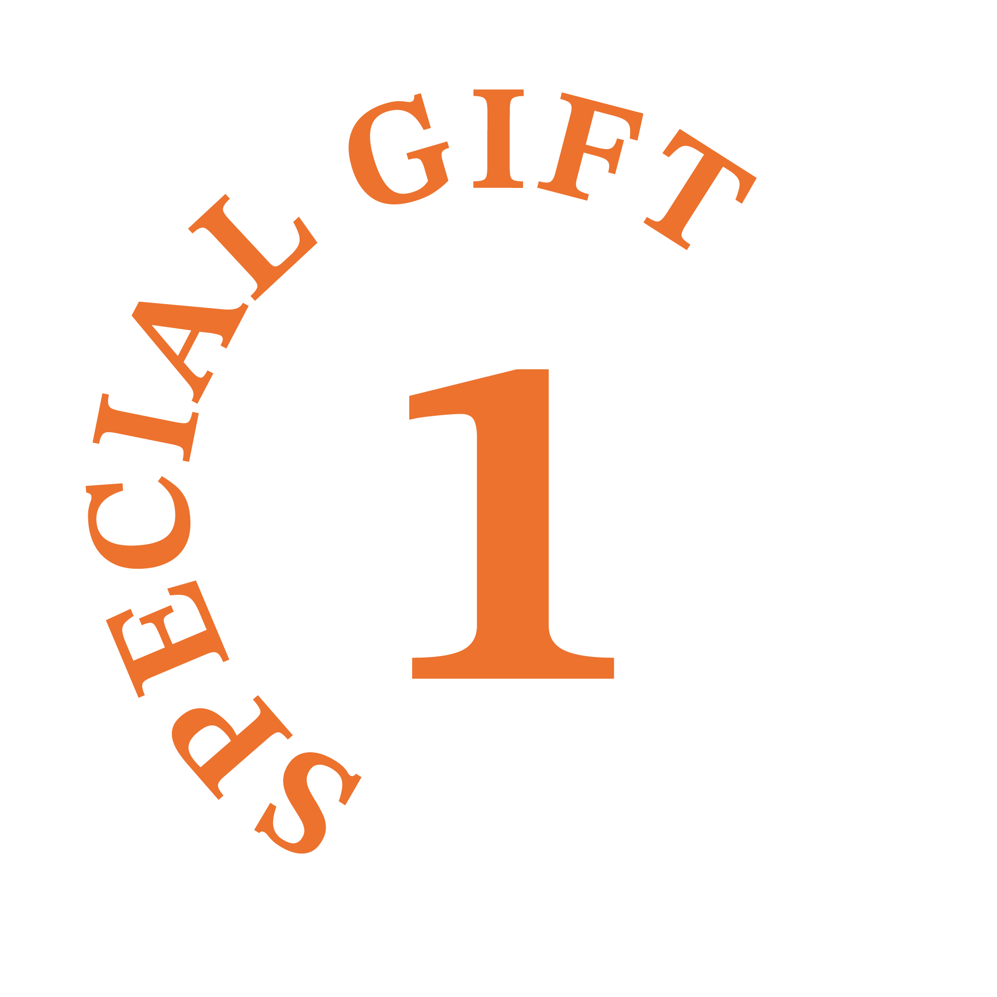 SPECIAL GIFT 1