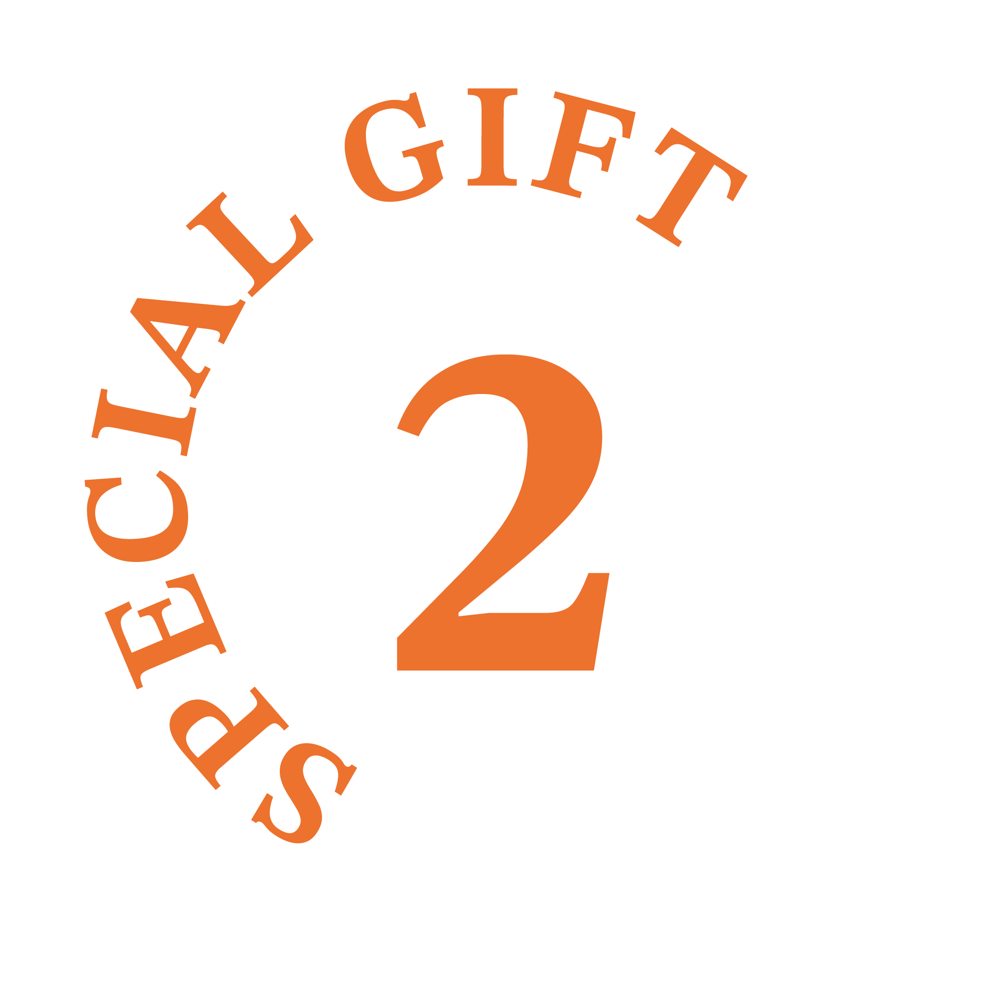 SPECIAL GIFT 2