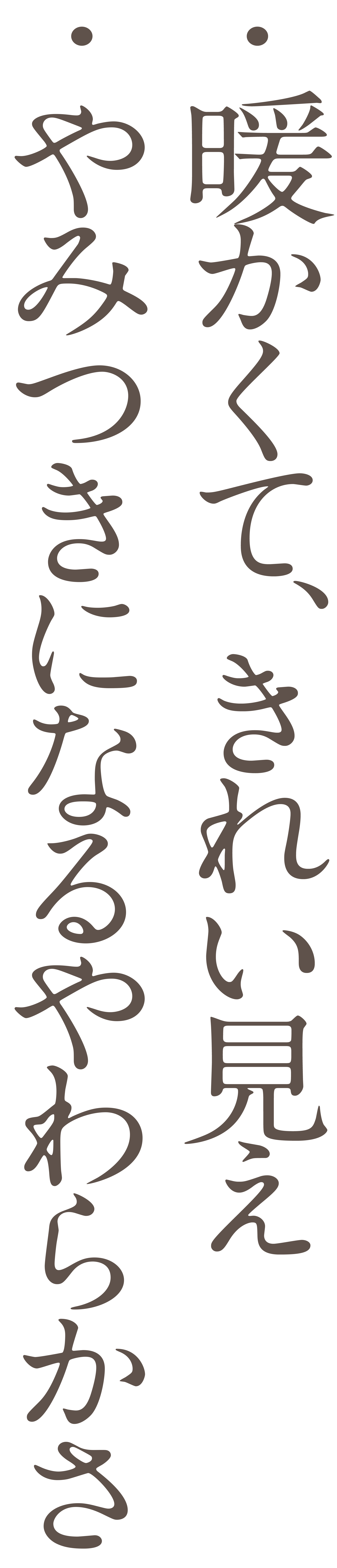 ・暖かいのに、きれい見え ・やみつきになるやわらかさ