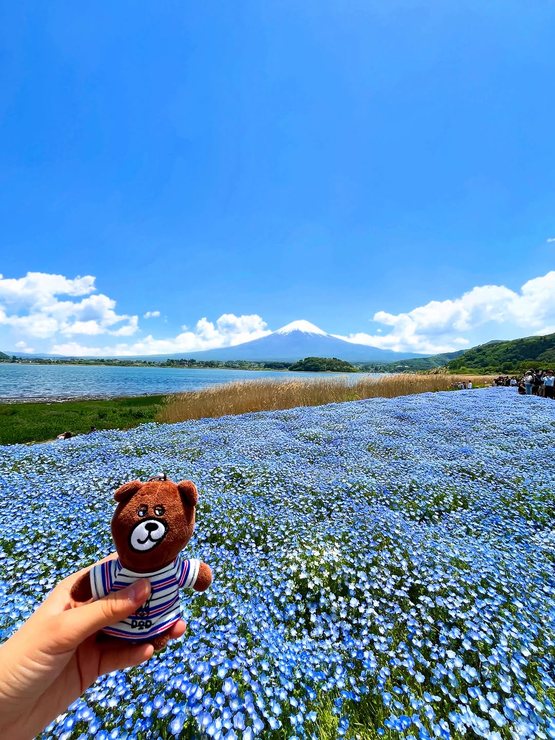 hanamogera